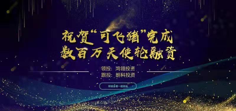 可飞猪获鸿翎投资、朗科投资数百万元天使轮融资