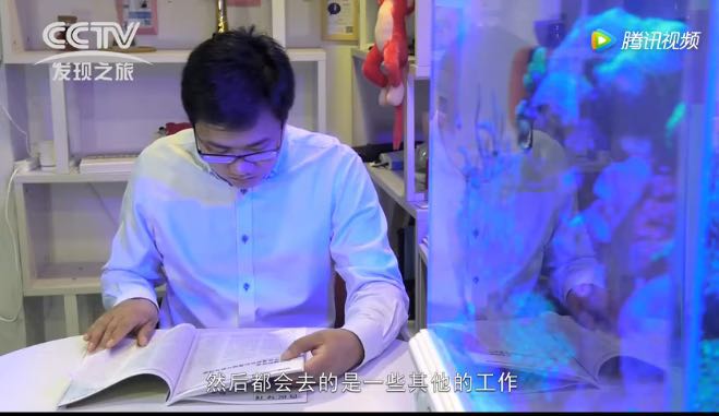 希鸥网创始人李志磊：所谓夹缝生存，就是努力扎根，然后一鸣惊人